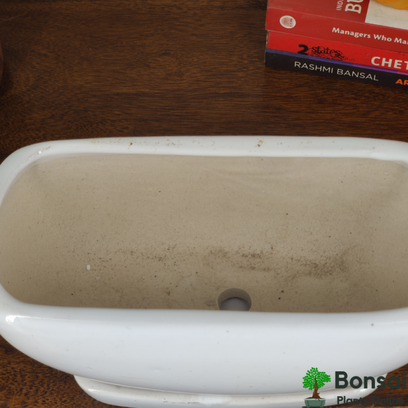 Ceramic Bonsai Tray Pot 15x10x10 cm - Image 4