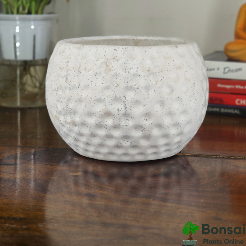 Football-Style Ceramic Bonsai Pot 5x5" - Image 2