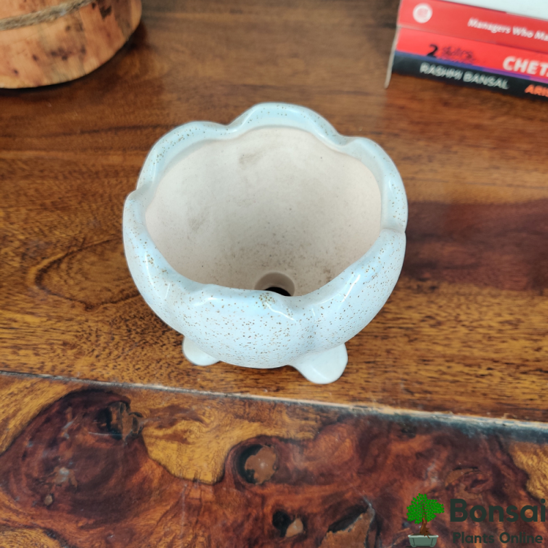 Rounded Ceramic Bonsai Pot (Dia-Style) 10x10x12 cm - Image 3