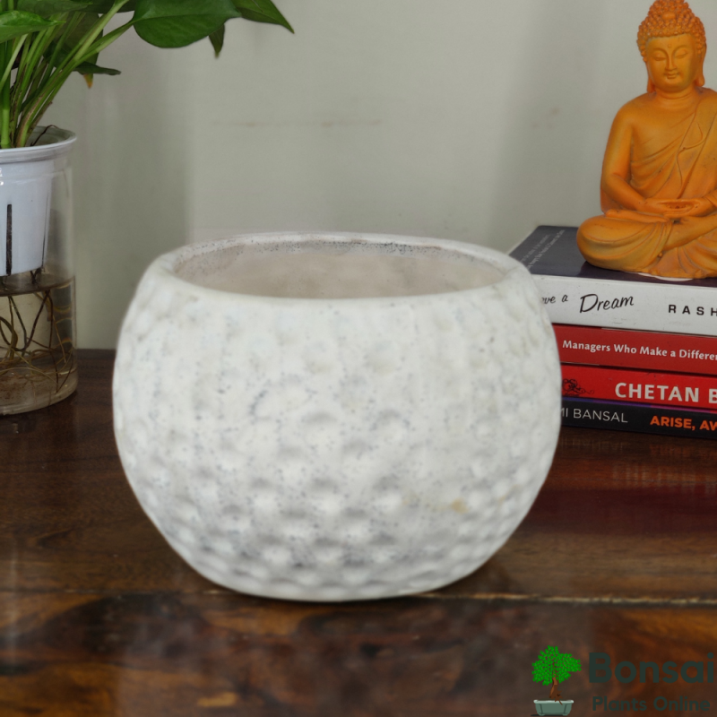Football-Style Ceramic Bonsai Pot 5x5" - Image 3