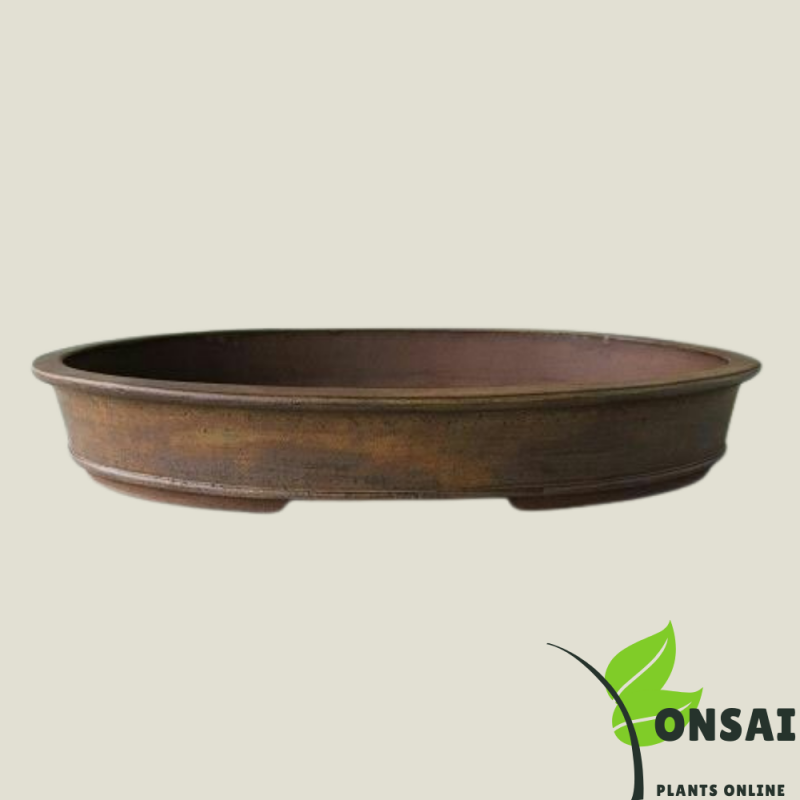 Ceramic Bonsai Pots 8 Inches - Image 2