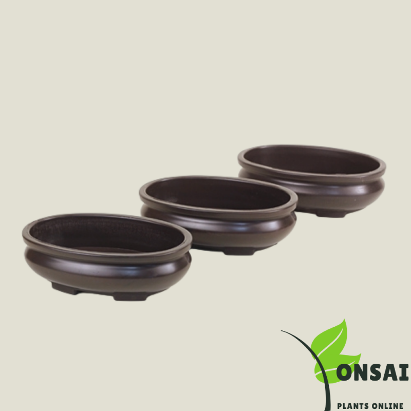 Plastic Bonsai Pots - Image 2