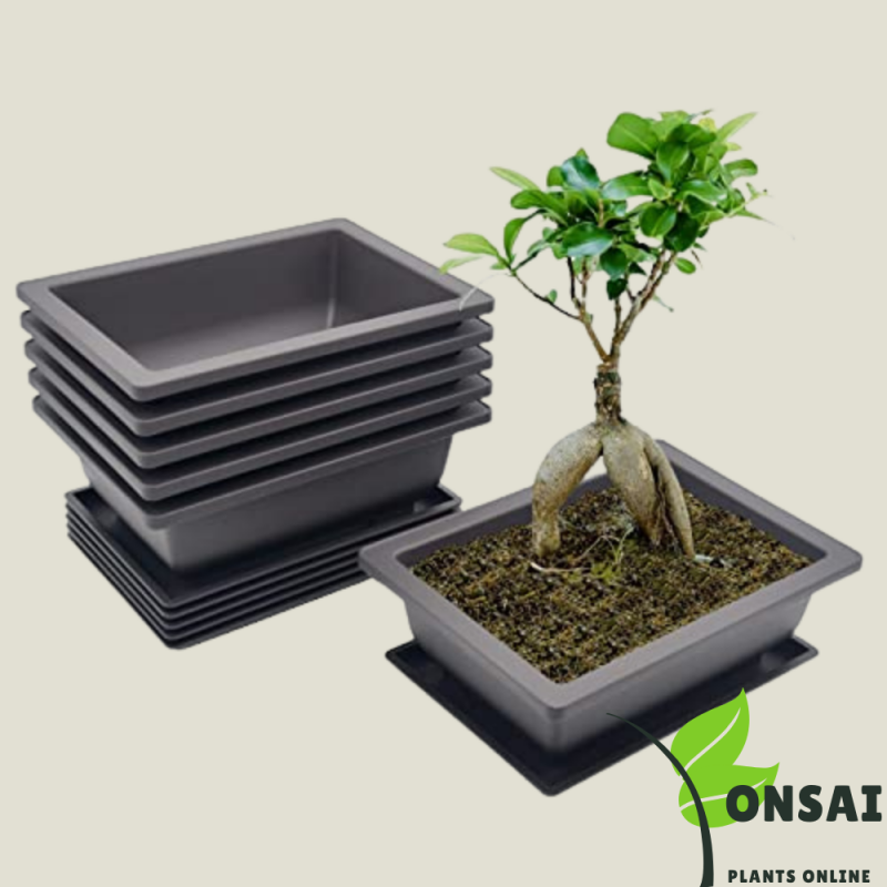 Mica Bonsai Pots