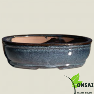 Ceramic Bonsai Pots 8 Inches