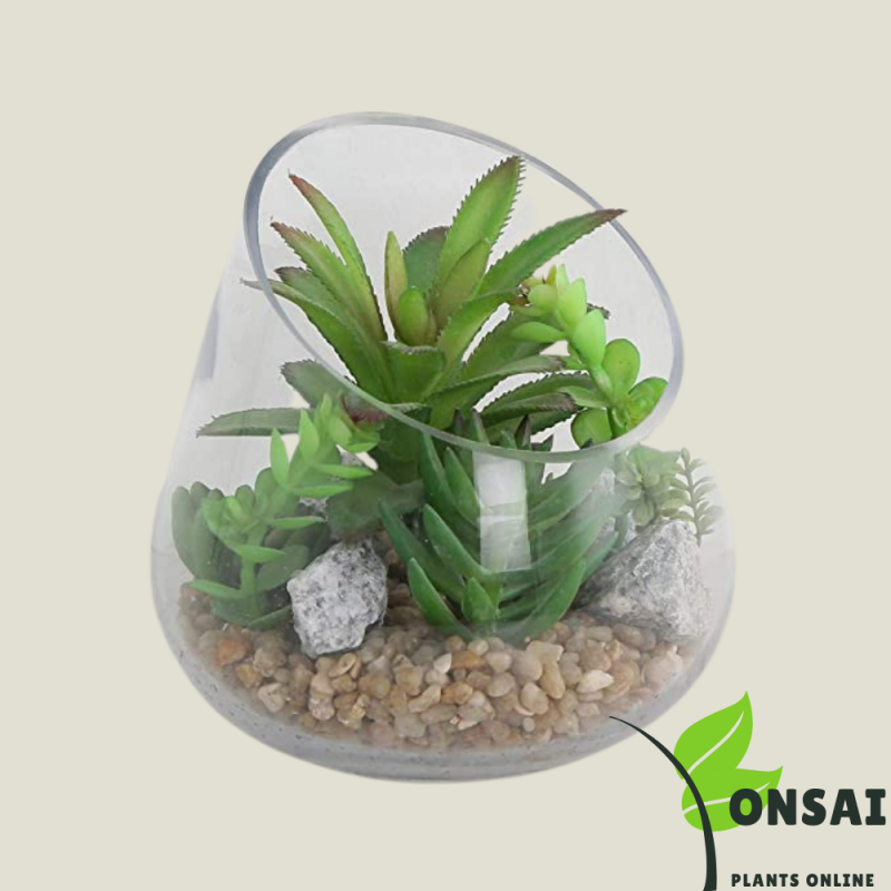 Glass Bonsai Pots