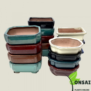 Glazed Ceramic Bonsai Pot
